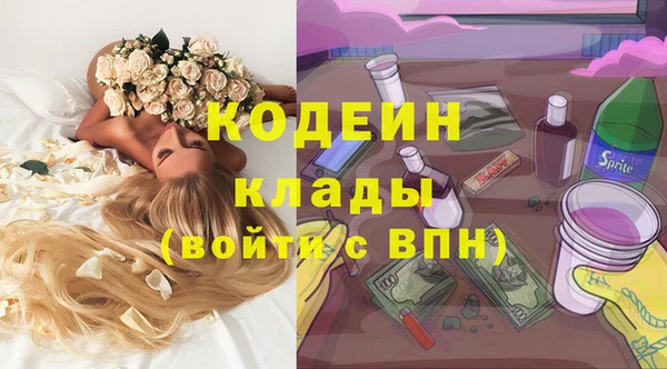 гидра Арсеньев
