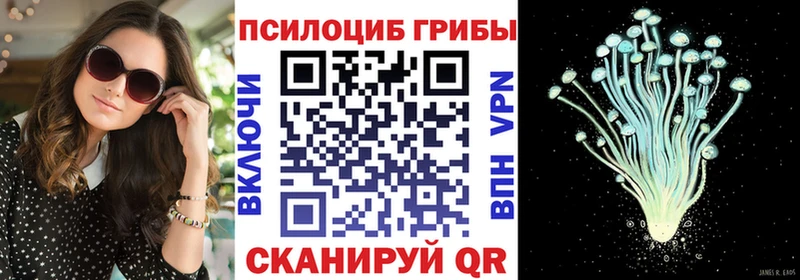 Псилоцибиновые грибы мухоморы  Купить  Мышкин 